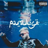 Paradise | Hamza. Chanteur