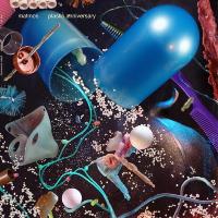 Plastic anniversary | Matmos. Musicien