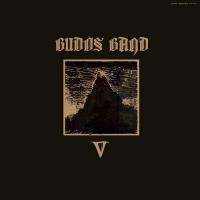 V | Budos Band (The). Musicien