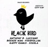 Black bird : riddim by City Kay / City Kay | Anthony B (1976-....)