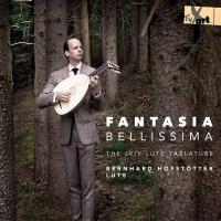 Fantasia bellissima : the lviv lute tablature | Hofstötter, Bernhard. Musicien