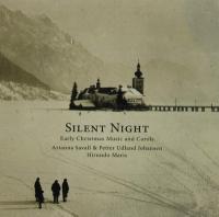 Silent night | Hirundo maris. Musicien