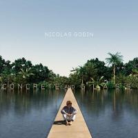 Concrete and glass / Nicolas Godin | Godin, Nicolas (1969-....)