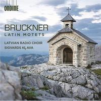 Latin motets | Bruckner, Anton. Compositeur