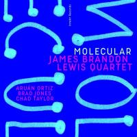 Molecular / James Brandon Lewis, saxo t | Lewis, James Brandon - saxophoniste. Interprète