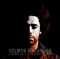 Living in a burning house | Selwyn Birchwood