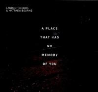 A place that has no memory of you / Laurent Dehors | Dehors, Laurent (1964-....)