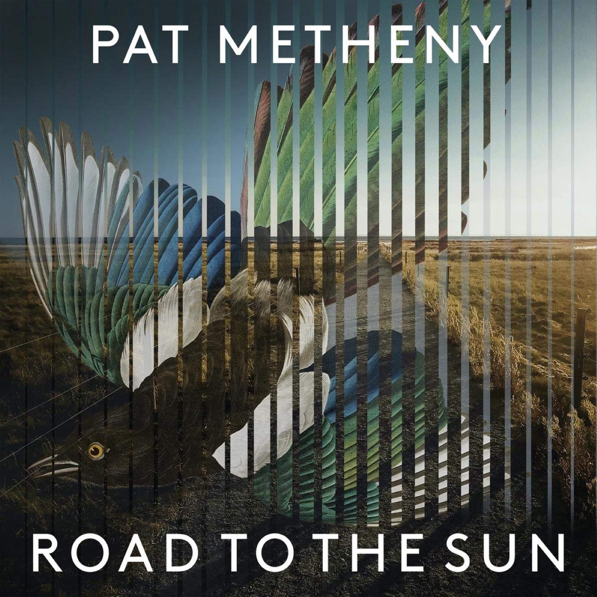 Road to the sun / Pat Metheny | 