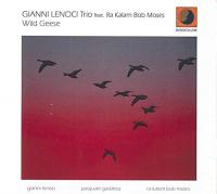 Wild geese / Gianni Lenoci, p | Lenoci, Gianni (1963-2019) - pianiste. Interprète