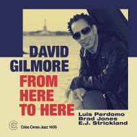 From here to here / David Gilmore, guit. | Gilmore, David. Interprète