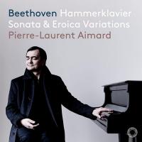 Hammerklavier, Sonata & Eroica variations | Ludwig Van Beethoven. Compositeur