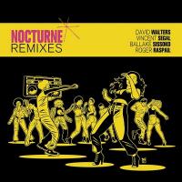 Nocturne : remixes / David Walters | Walters, David