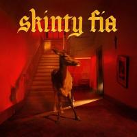 Skinty fia / Fontaines D.C. | Fontaines D.C.