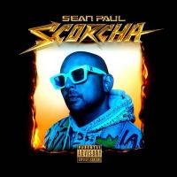 Scorcha |  Sean Paul