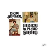 Hiding in plain sight / Drugdealer | Drugdealer