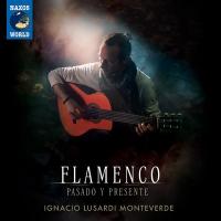 Flamenco : pasado y presente / Ignacio Lusardi Monteverde, guit. | Lusardi Monteverde, Ignacio. Interprète