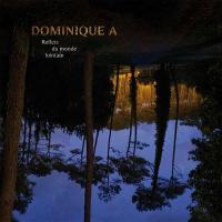 Reflets du monde lointain | Dominique A. (1968-....). Compositeur. Chanteur. Guitare