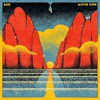 Ask | Altin Gun. Musicien