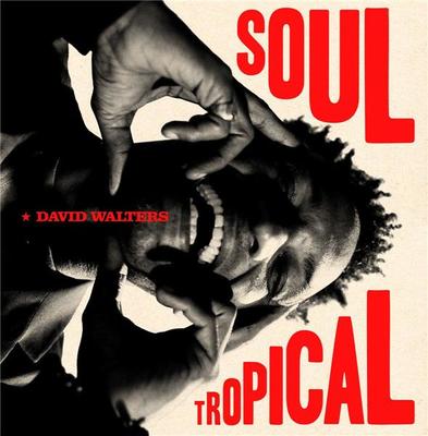 Soul tropical David Walters