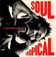 Soul tropical | Walters, David