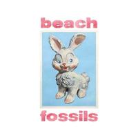 Bunny | Beach Fossils. Musicien