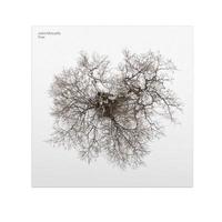 Tree | John Metcalfe. Compositeur