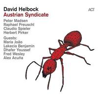 Austrian Syndicate | David Helbock. Musicien