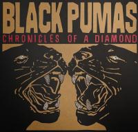 Chronicles of a diamond / Black Pumas | Black Pumas
